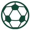 Icon of a soccer ball